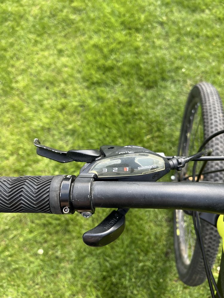 Rower Storm Shark