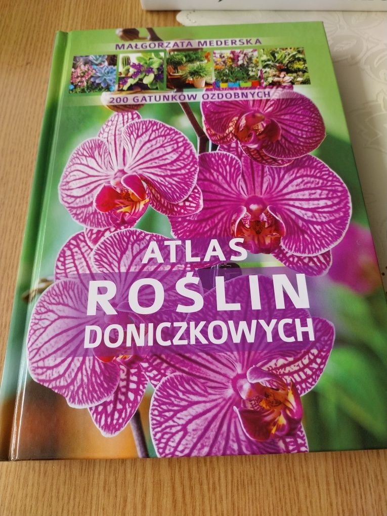 Atlas Roślin Doniczkowych 200 gatunków Małgorzata Mederska