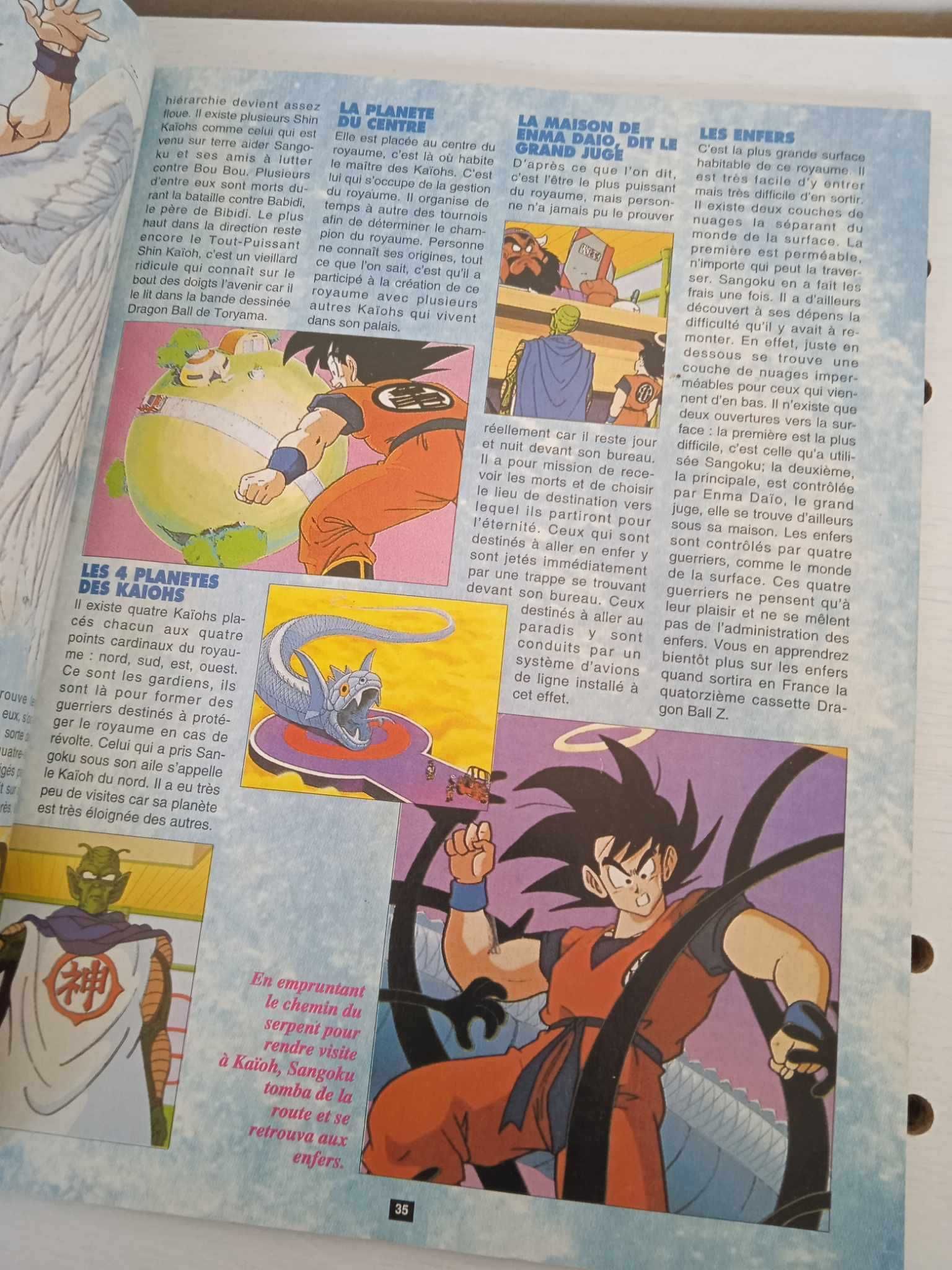 Revista Dorothee Edição Especial Dragon Ball Z