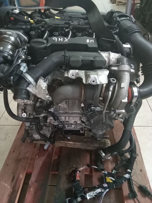 Motor 1.6hdi 9HX