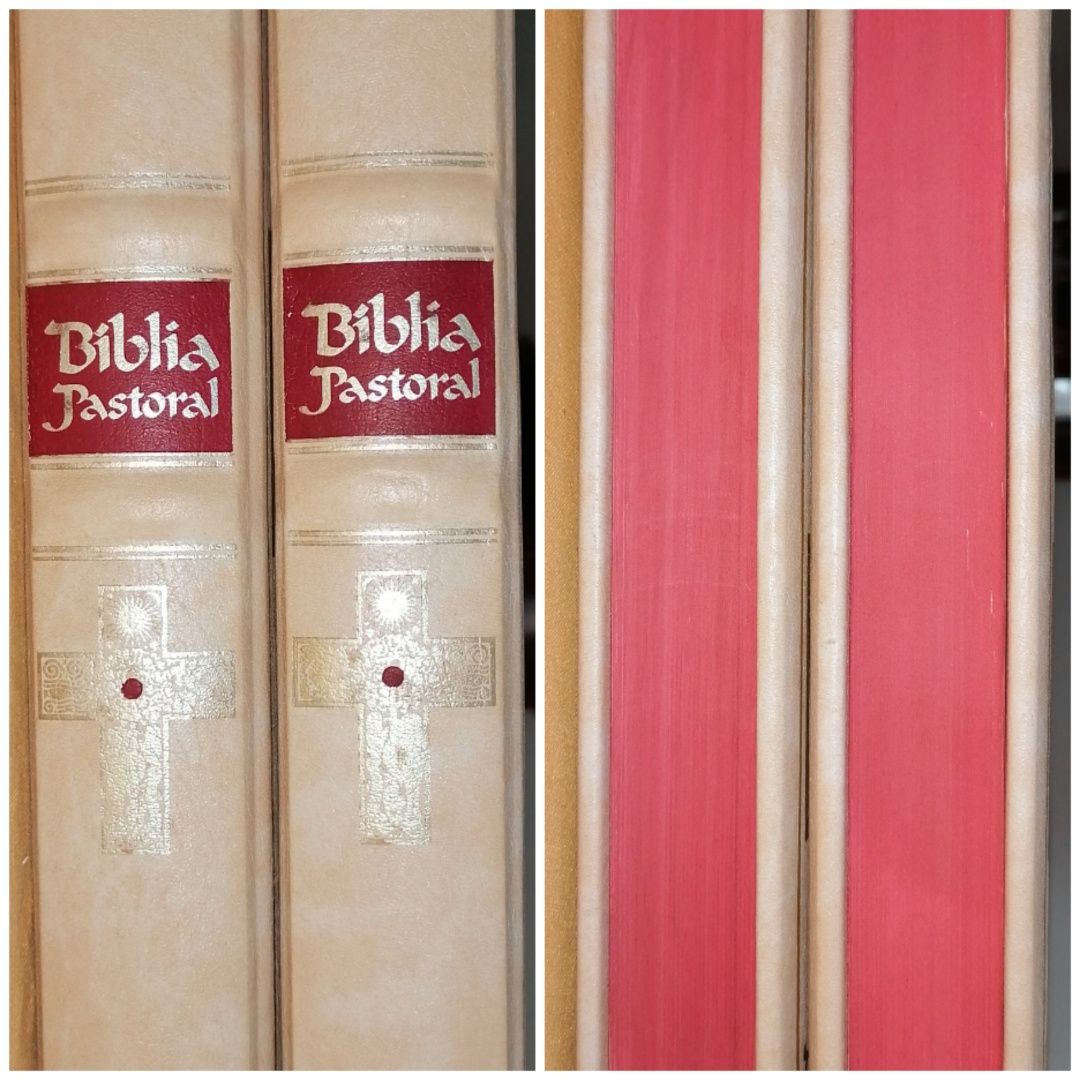 Bíblia Pastoral - 2 volumes em bom estado e sem dano.