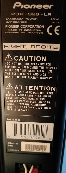 Plasma Pioneer com Surrond