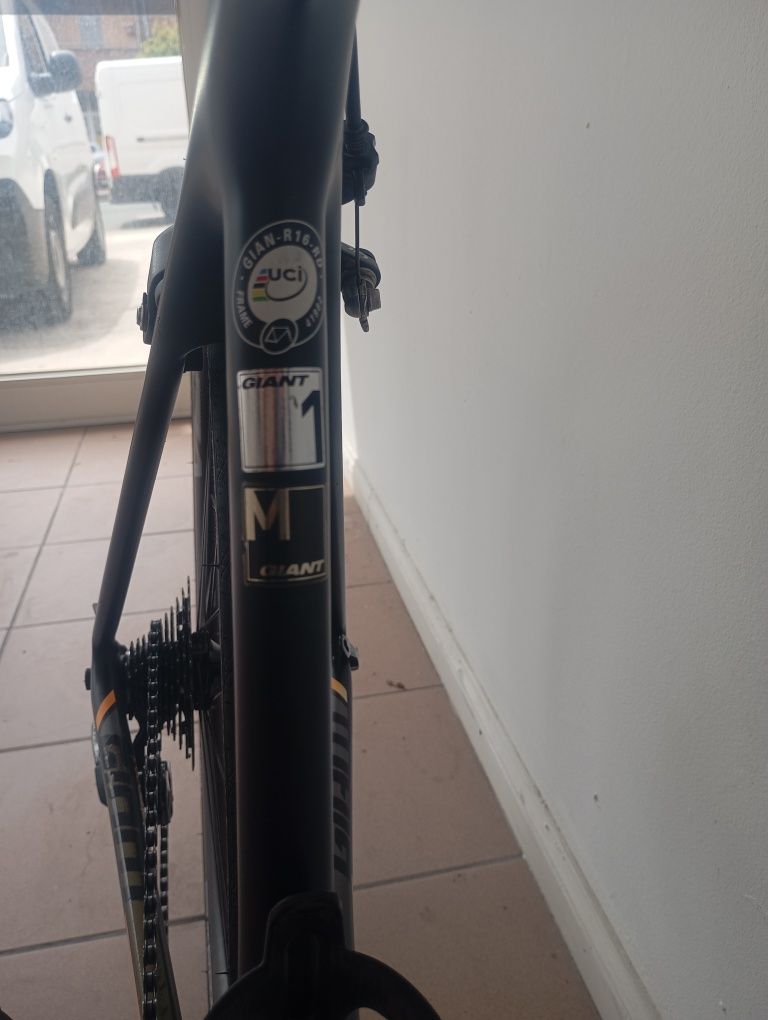 Giant Advanced TCR