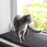 Pet Prime Cat Window Lounger mata na parapety 90 x 28 cm #4829