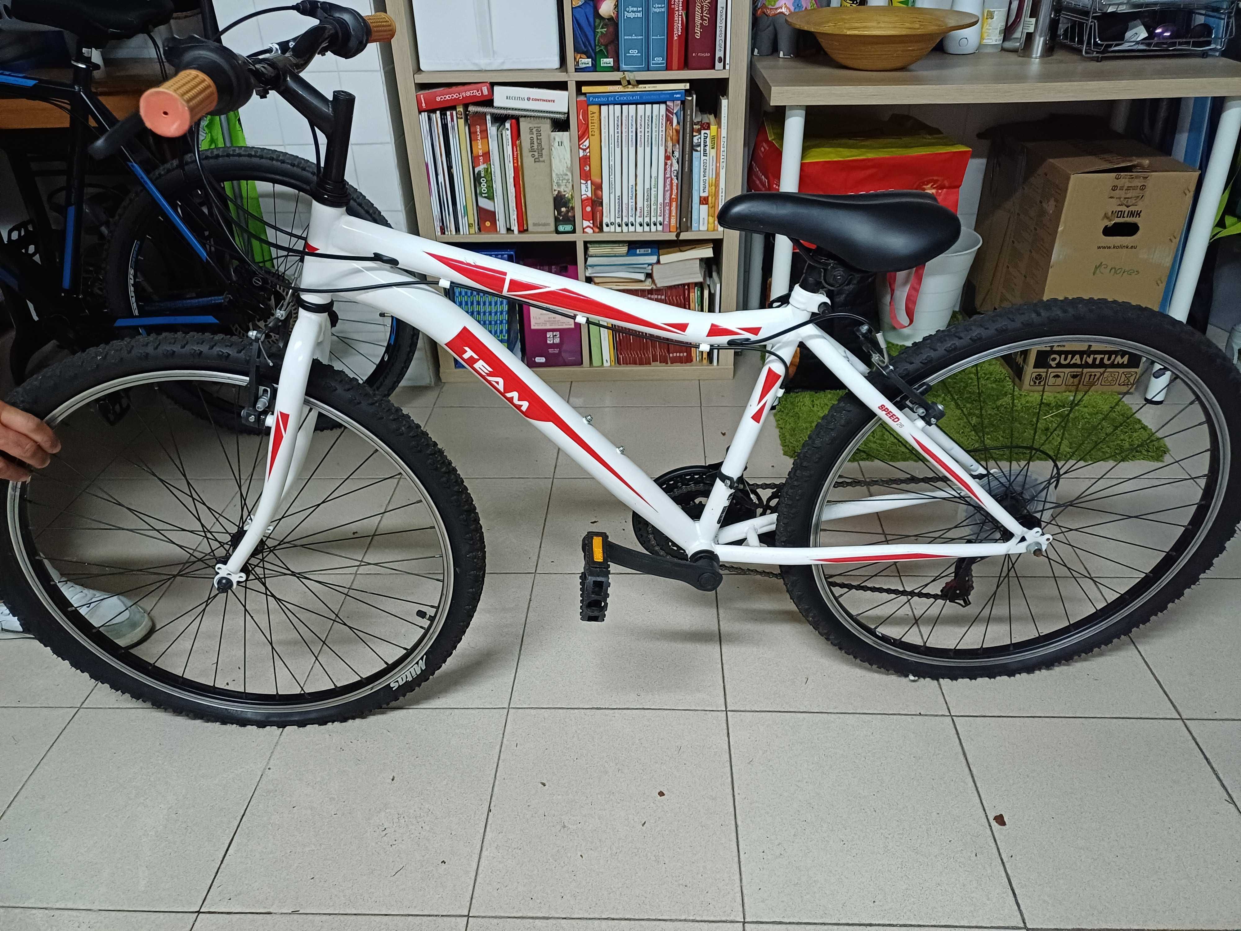 Bicicleta de criança