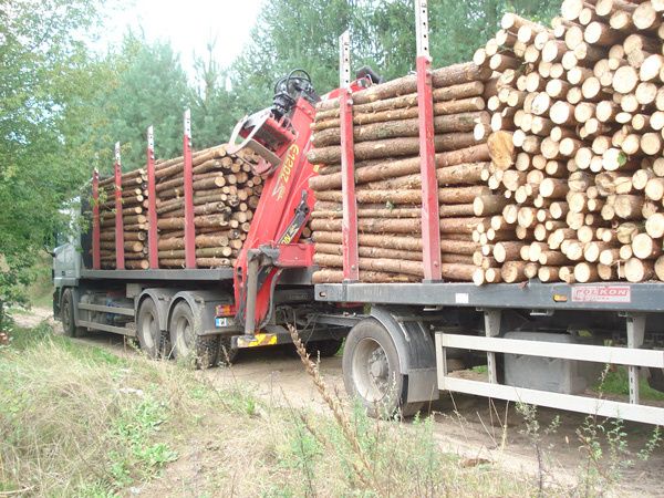 NOWE STEMPLE BUDOWLANE docinamy na wymiar Poznań i cała WLKP+Transport