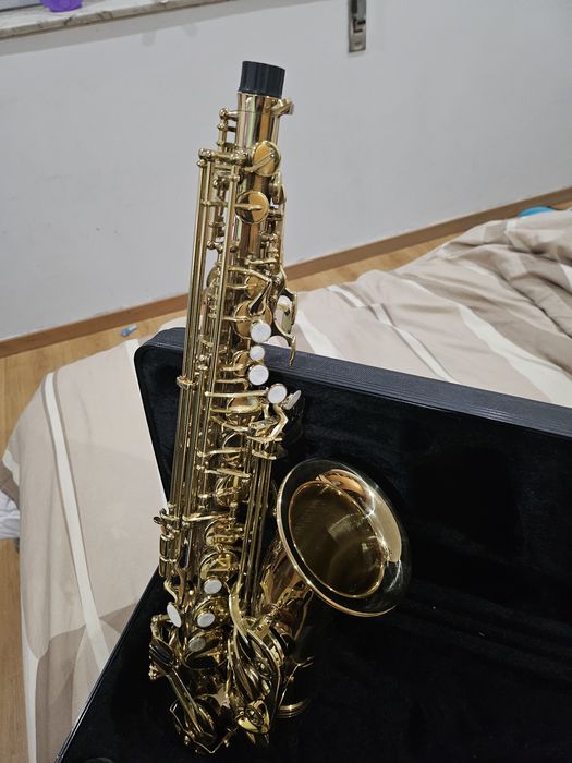 Saxofone alto Michael (brasileira)