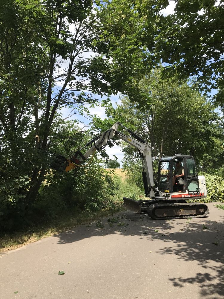 Koszenie łąk bagien torfów usługi mulczerem usługi leśne