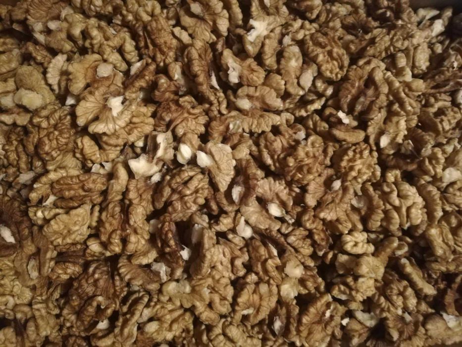 Orzechy włoskie łuskane 2025