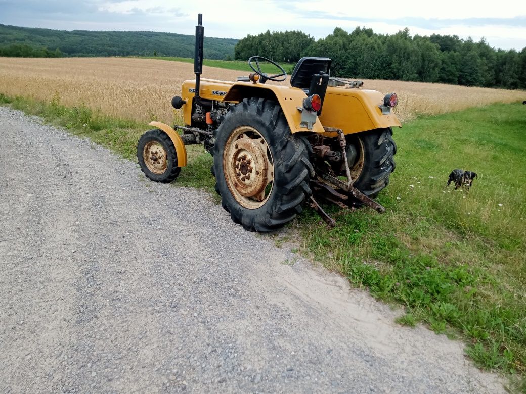 Ciognik Ursus c330