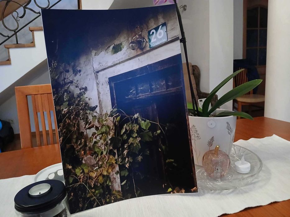 Fotografia autorska Obrośnięty Bluszczem WYDRUK 30X45 autor Chojnacka