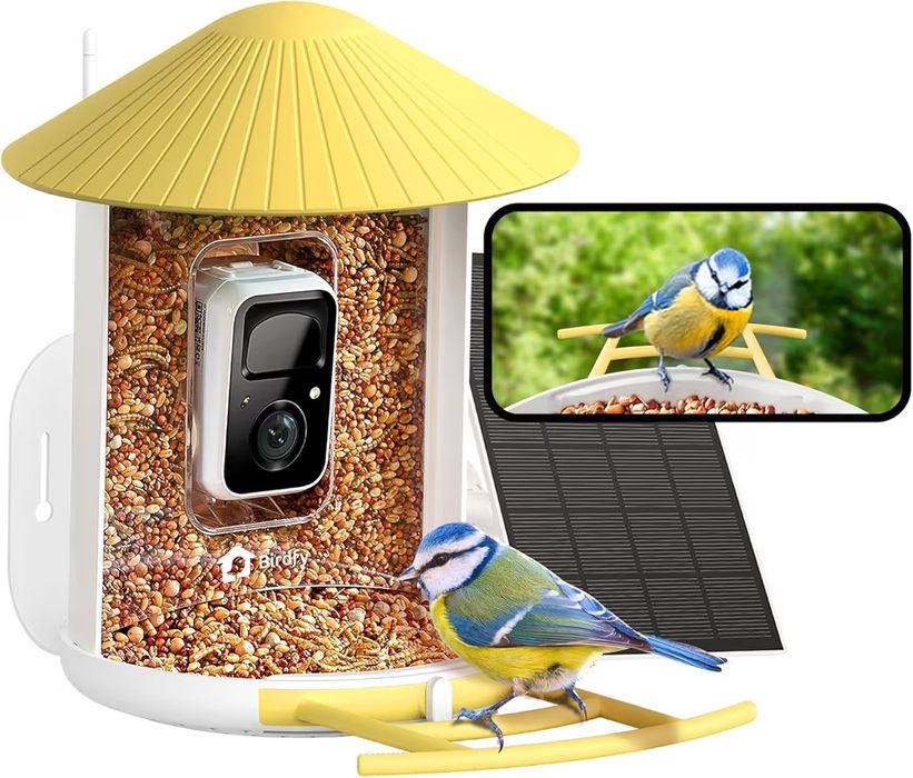 Netvue by Birdfy Alimentador pássaros com câmera, observação de aves c