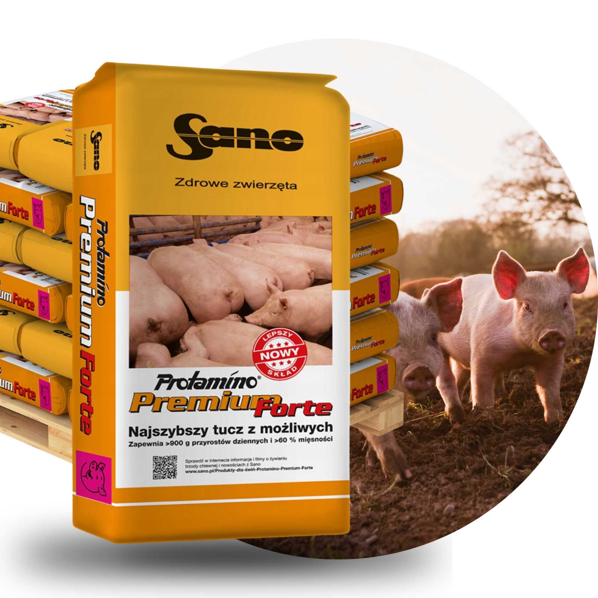 Sano Protamino Premium Forte Tucz dla świń 25kg