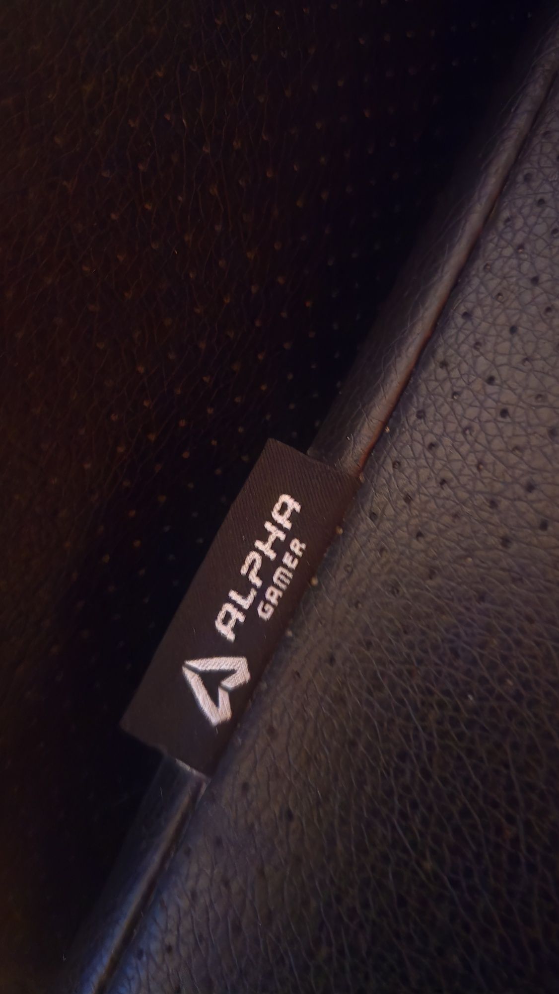 Cadeira gaming Alpha Gamer