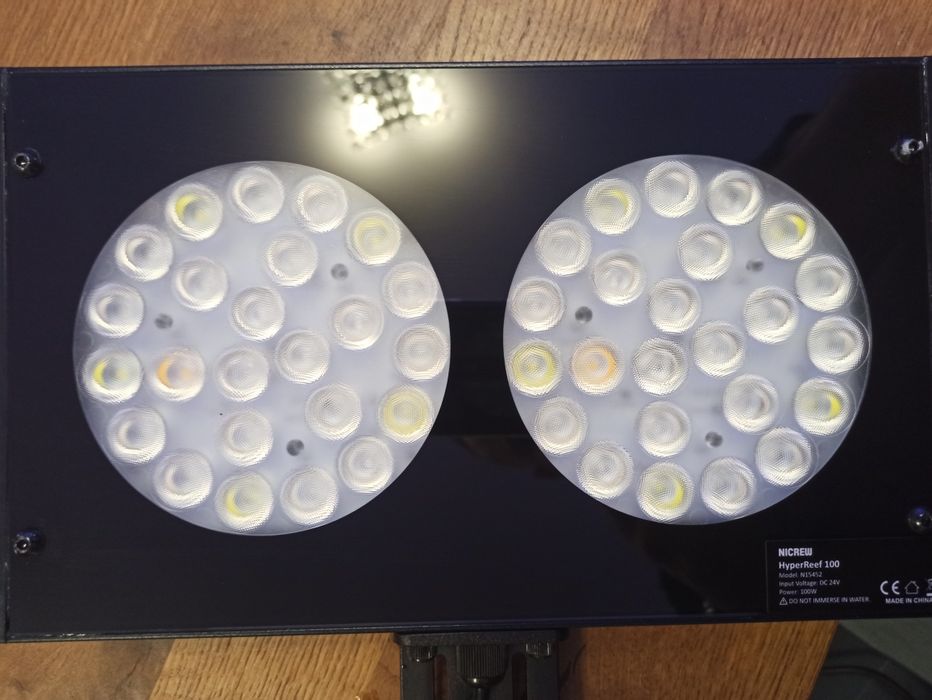 Lampa led 100 wat akwarium morskie