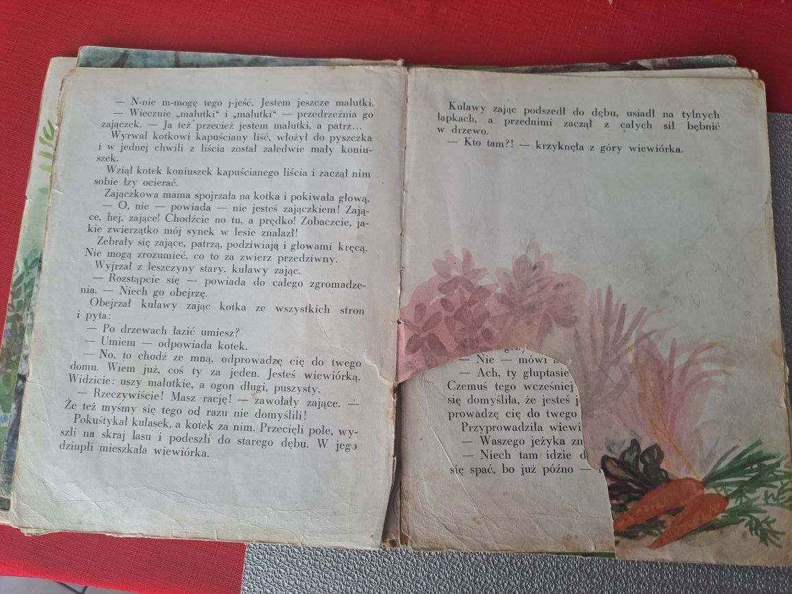 Uparty kotek I.Biełyszew.Rok wydania 1960.
