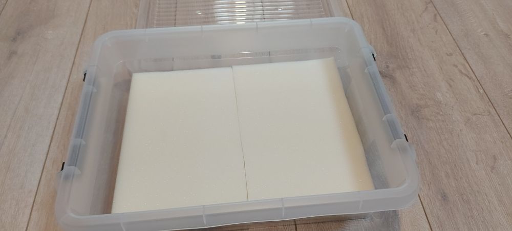 Auloforus hodowla, pojemnik zamykany  zestaw