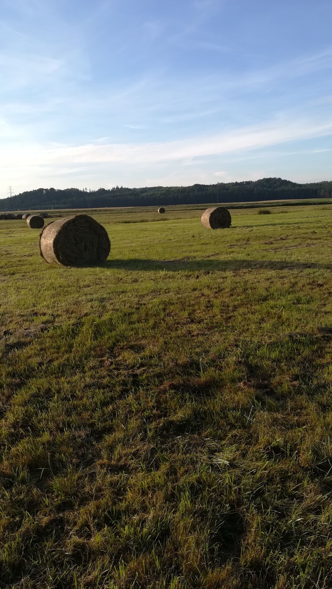 Słoma i siano z pod dachu. Możliwość transportu.
