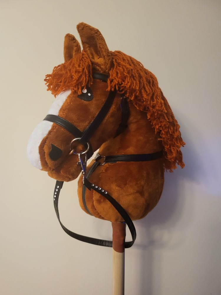 Hobby horse rudy