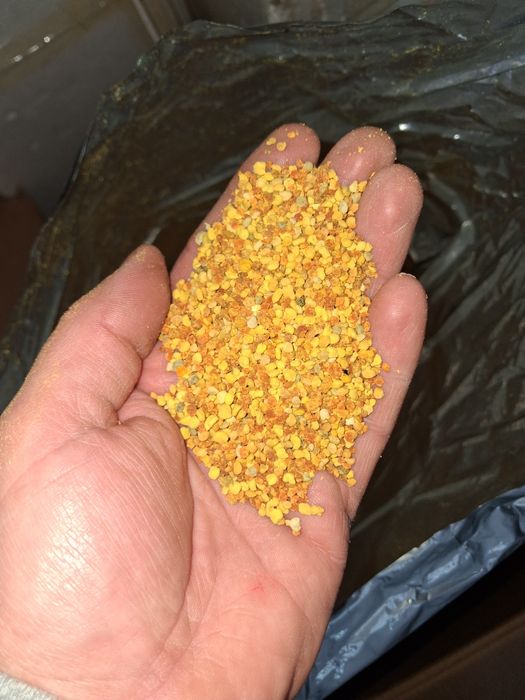 Pylek pszczeli duże ilości