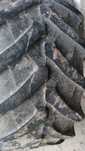 Opona używana 540/65 r 28 TRELLEBORG