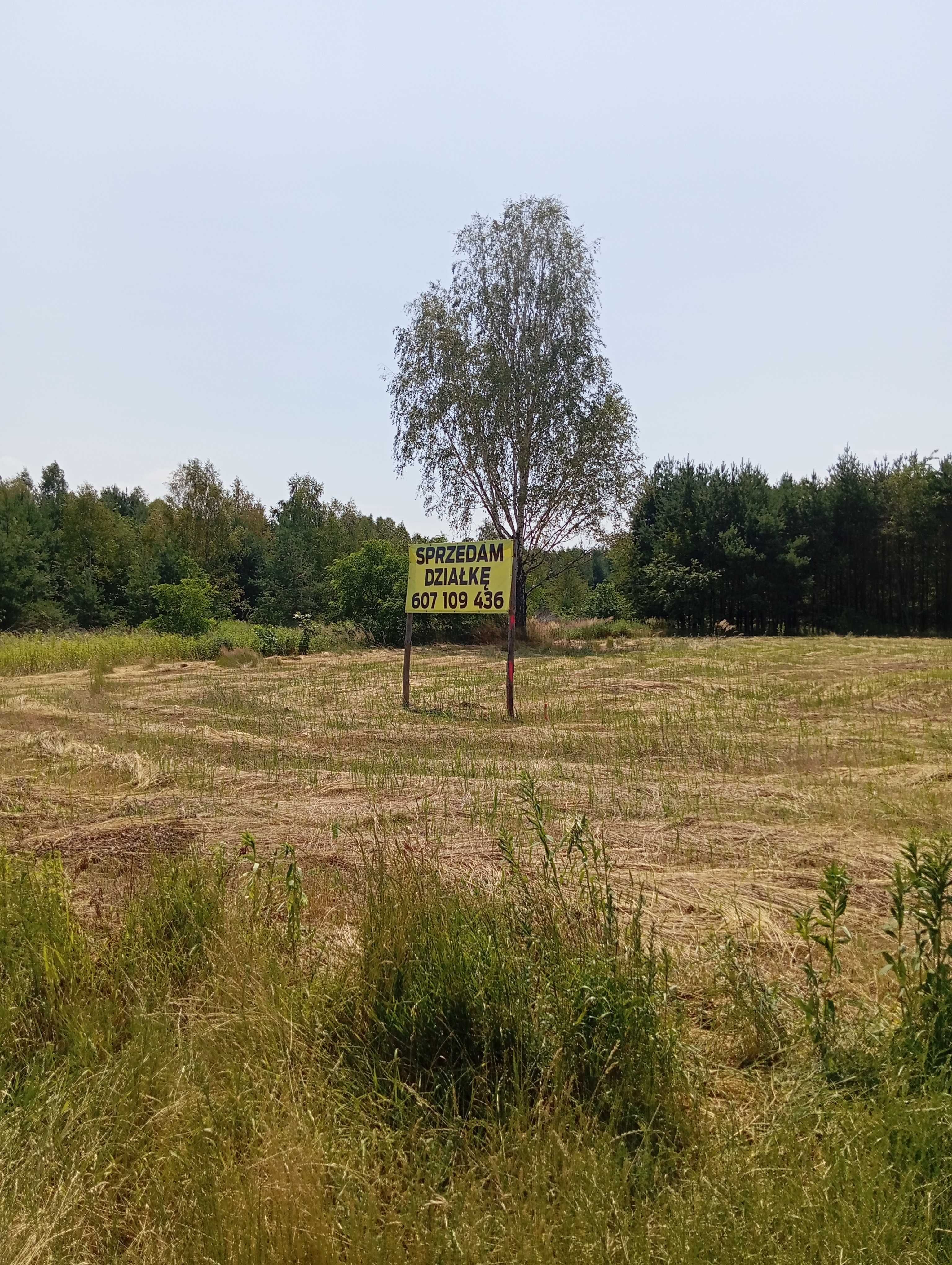Przędzel sprzedam działki przyS-19 E67 VIA Baltica wyjątkowa lokalizac