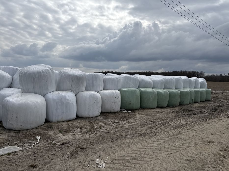 Sianokiszonka z traw baloty 130 cm