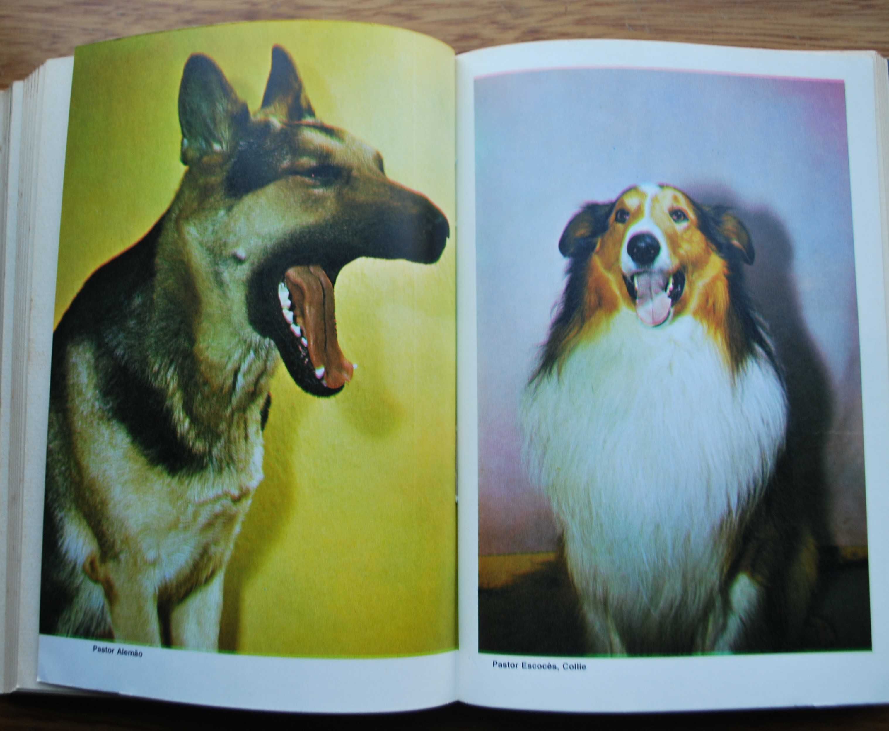 Guia Prático dos Cães de Jacques Freydiger