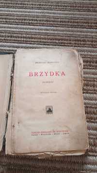 Książka ,,Brzydka "Michalina Domańska