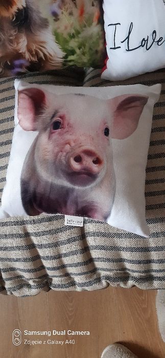 Poduszka jasiek podusie