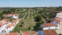 Quinta c/ Construção - Ladoeiro