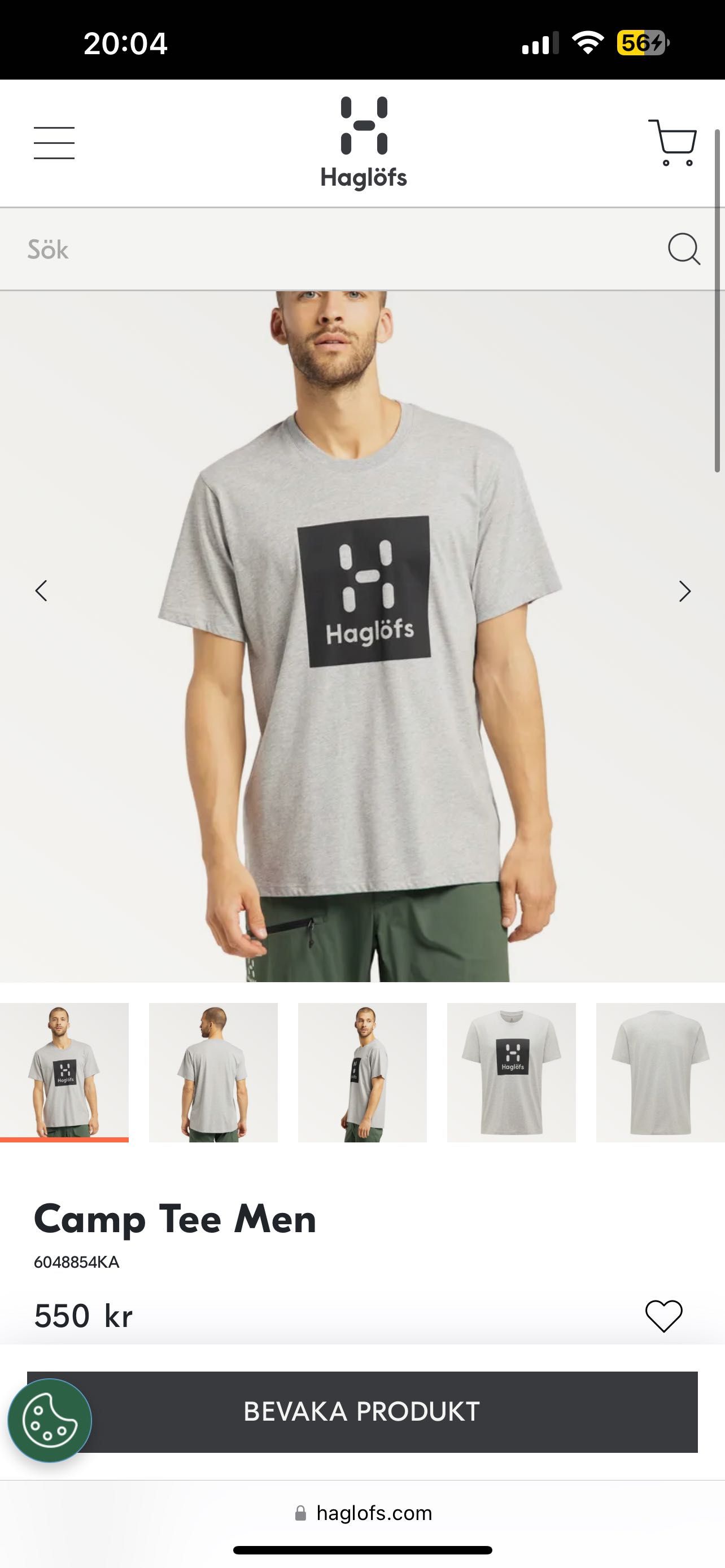 Футболка Haglofs camp tee men з великим лого рЛ