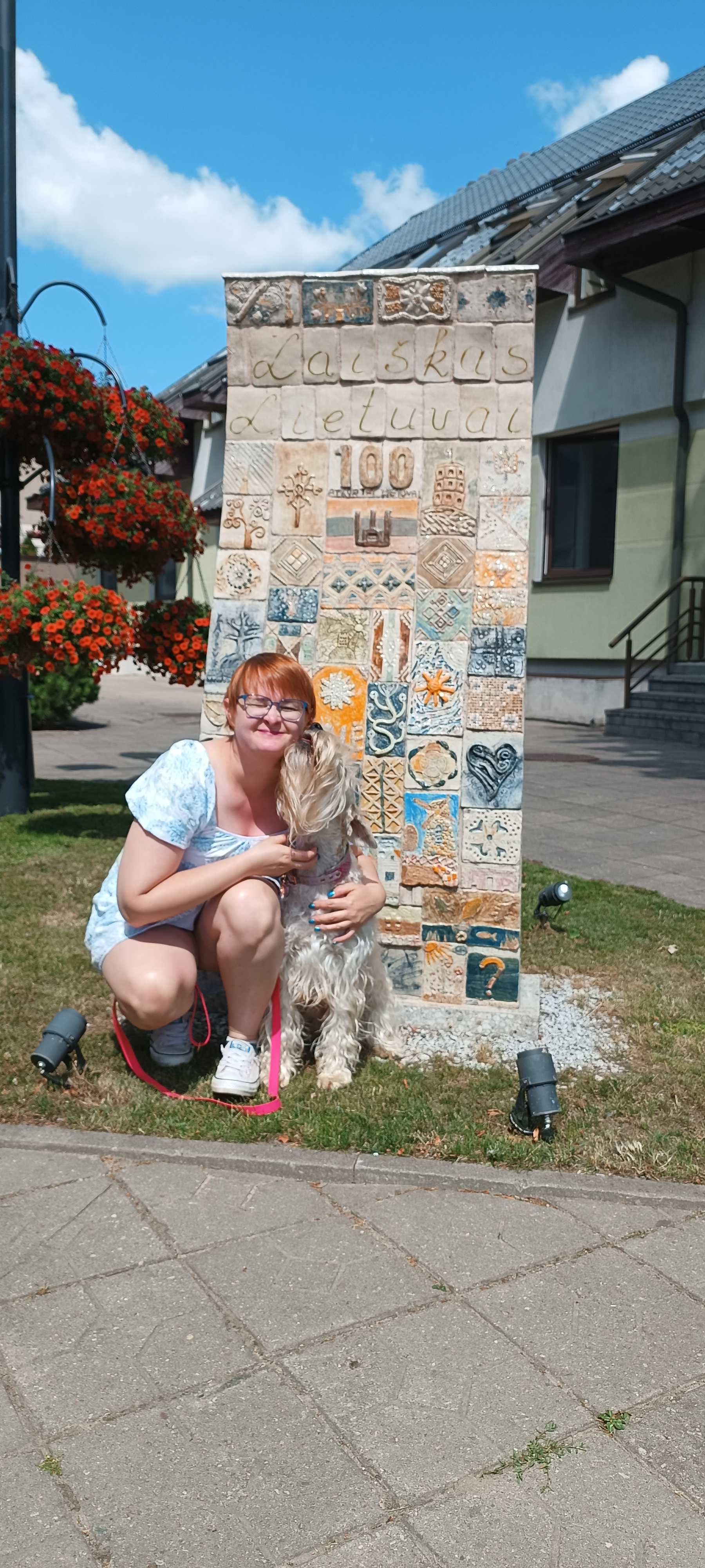 Irish soft coated wheaten terrier - terier pszeniczny ZKwP/FCI