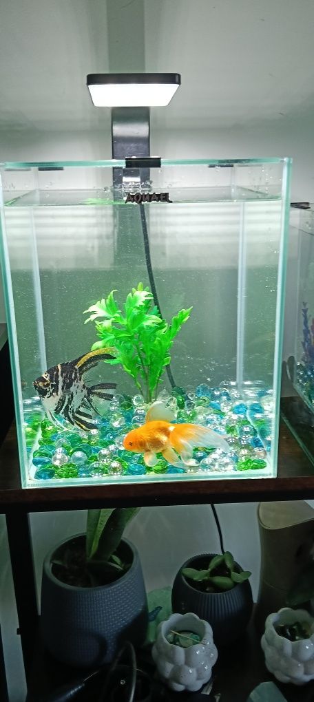 Sprzedam akwarium Aquael 20 l