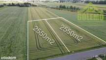 Działki budowlane o pow. 2550m2 / Dubidze-Kolonia