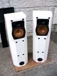 leedh elfe (focal audax)