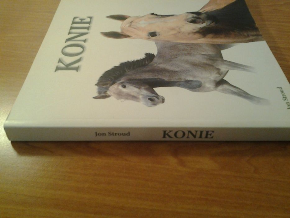 Konie : ) : ) : )