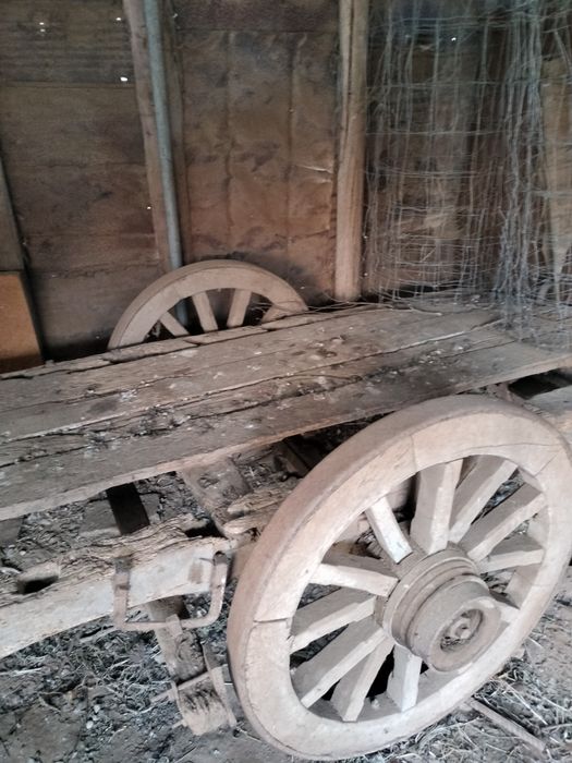 Carro de boís antigo