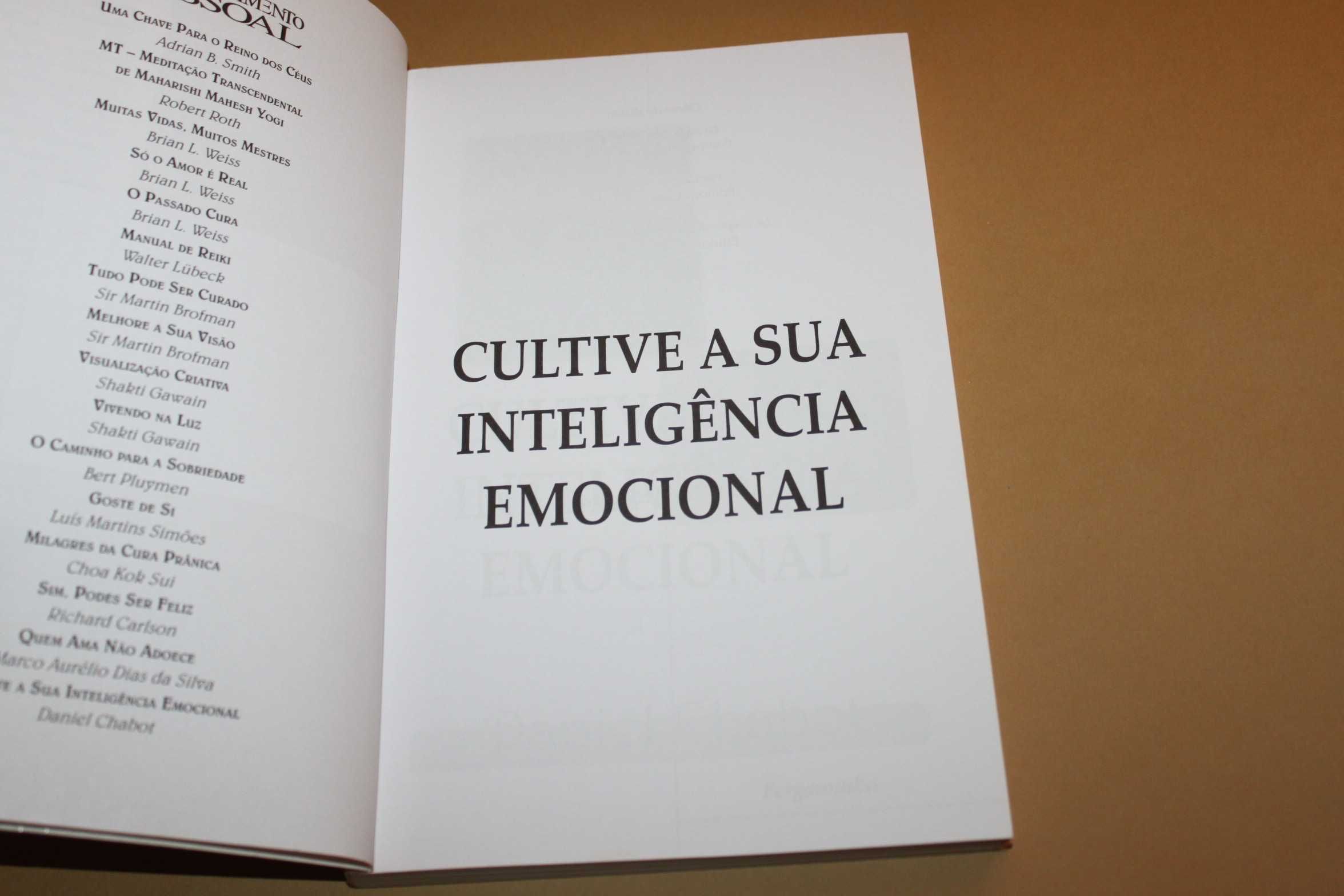 Cultive a sua Inteligência Emocional// Daniel Chabot