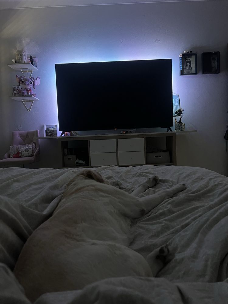 Televisao grande