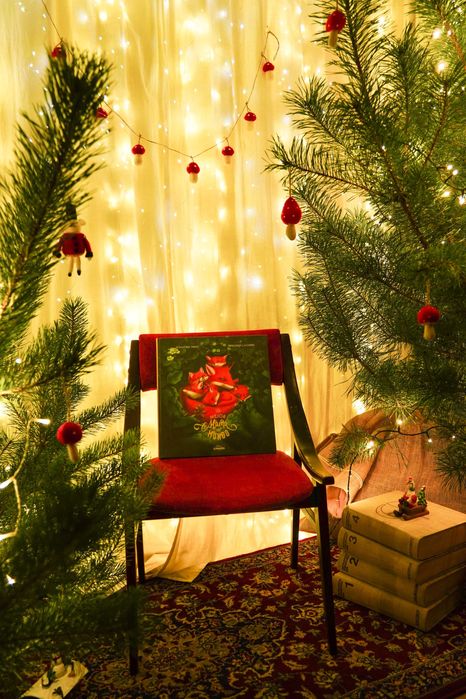 zimowa, świąteczna foto sesja, photography, zdjęcia Namysłów