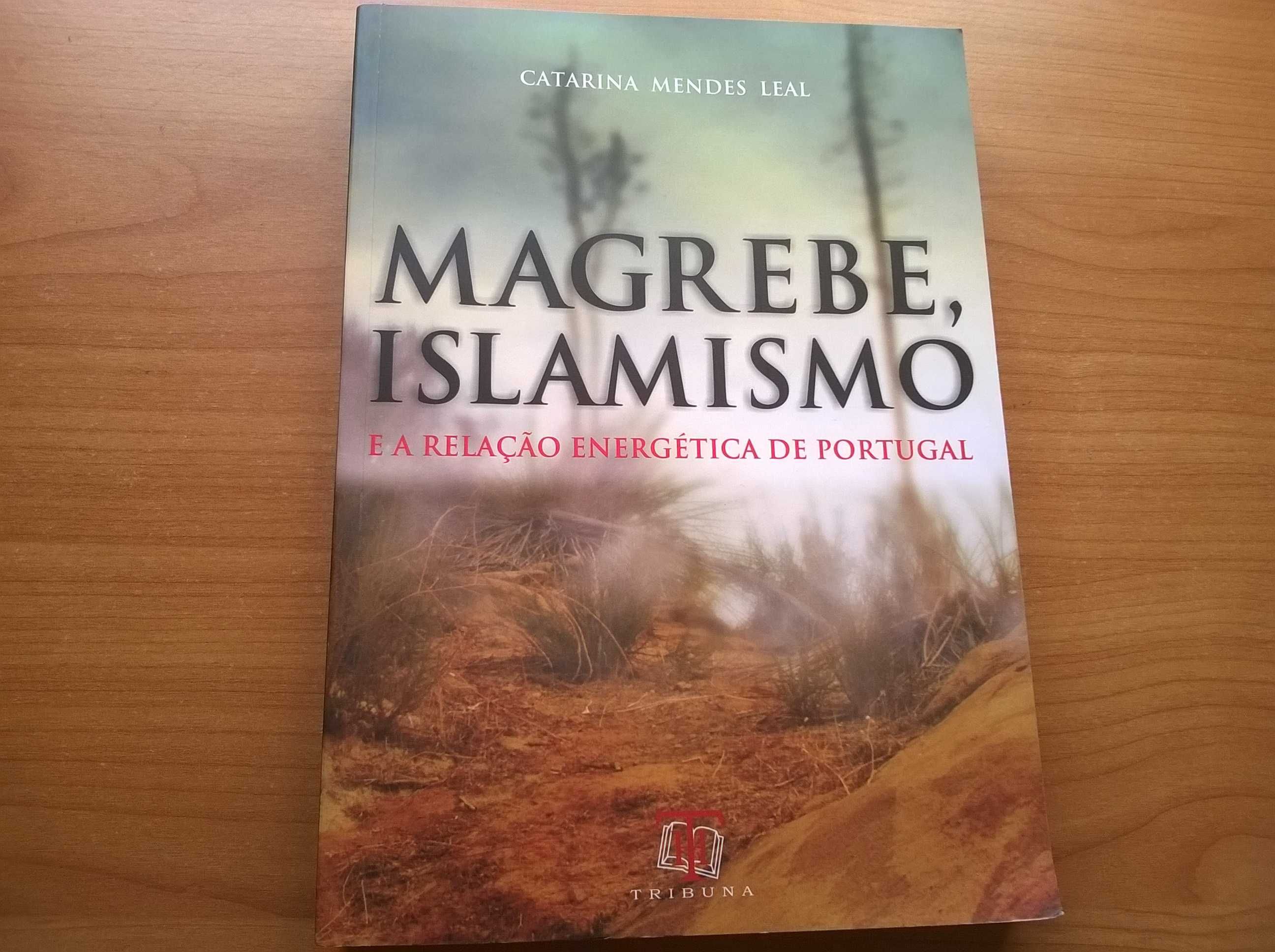 Magrebe, Islamismo e a Relação Energética de Portugal - Catarina M. L.