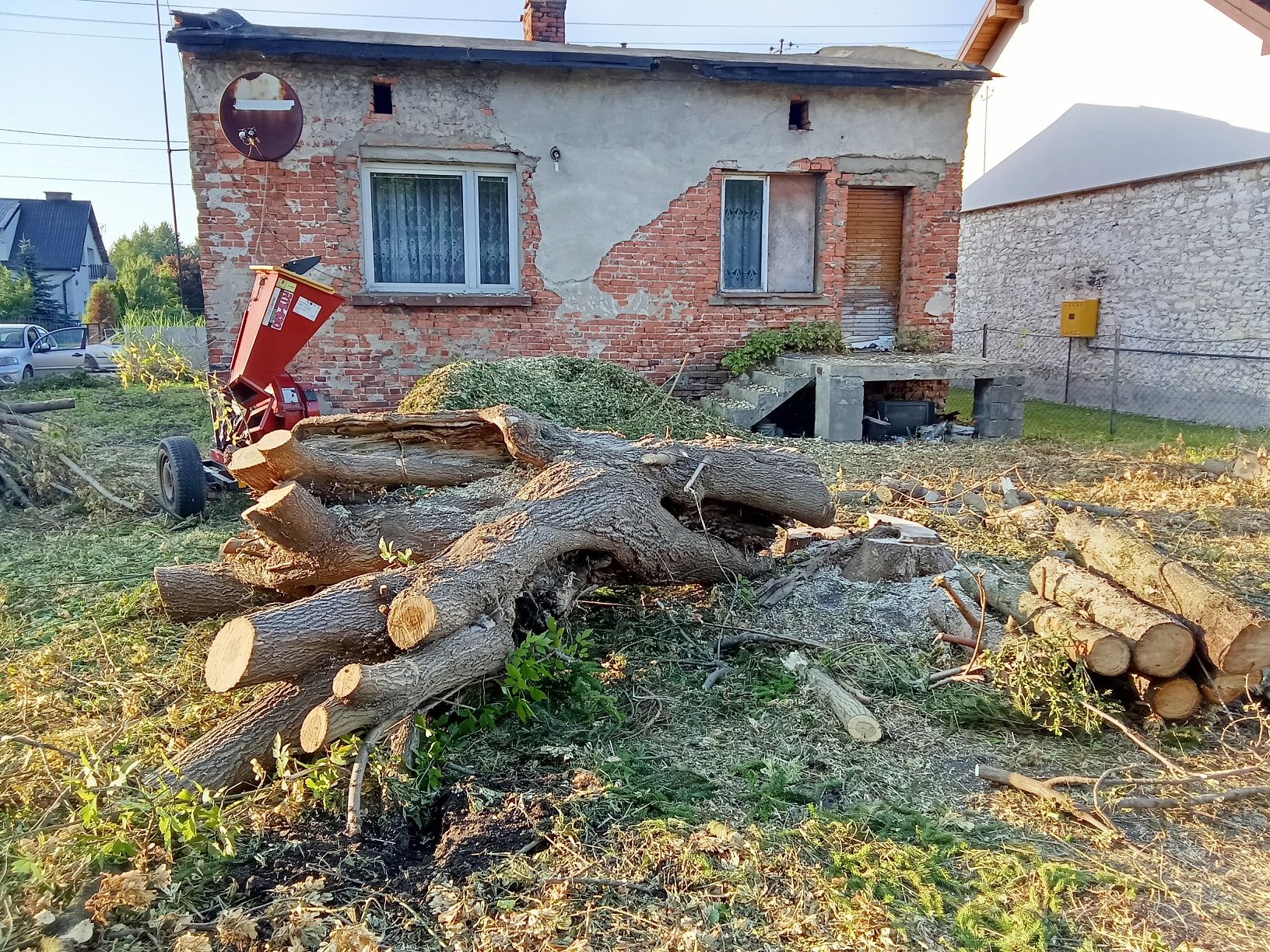 Wycinki drzew usługi rebakiem, wynajem