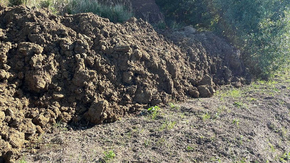 Oddam ziemię z wykopów