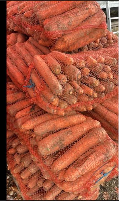 Продам моркву гарну велику , середню