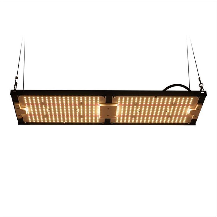 Kingbrite 240w Lampada LED Para Cultivo