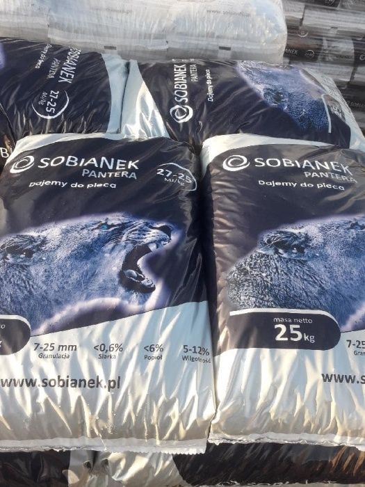 groszek SOBIANEK PANTERA groszek cena 1550 zł
