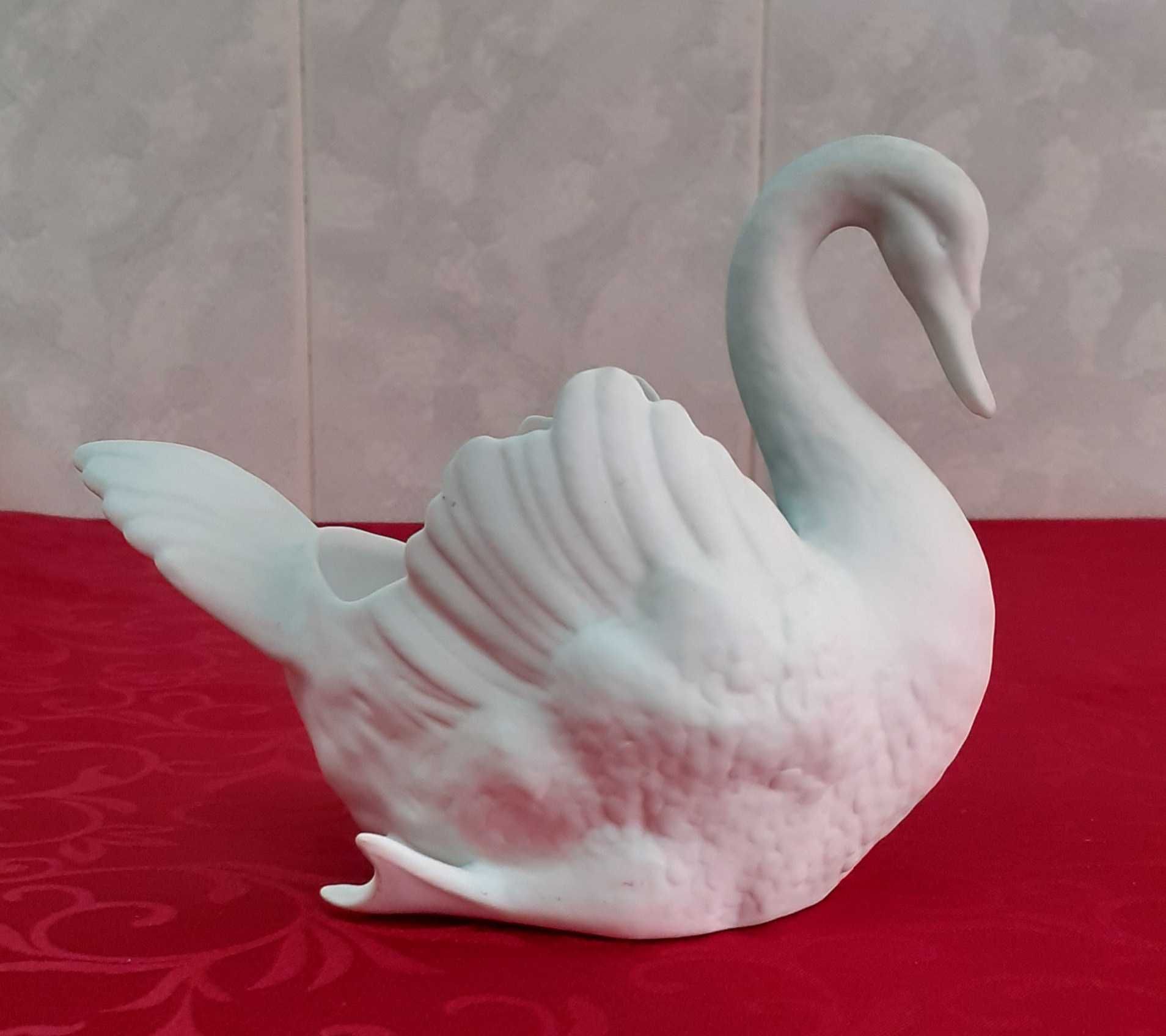 Cisne da Vista Alegre