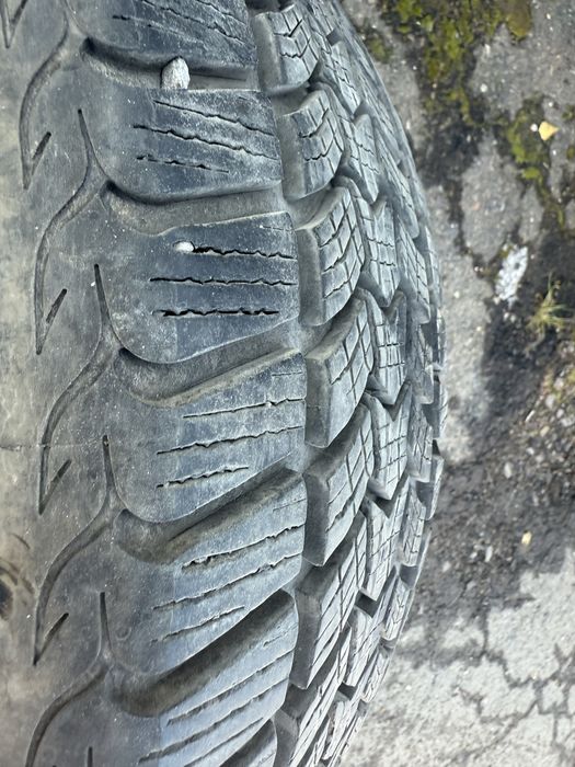 Резина зима 205/55/16 debica frigo HP2