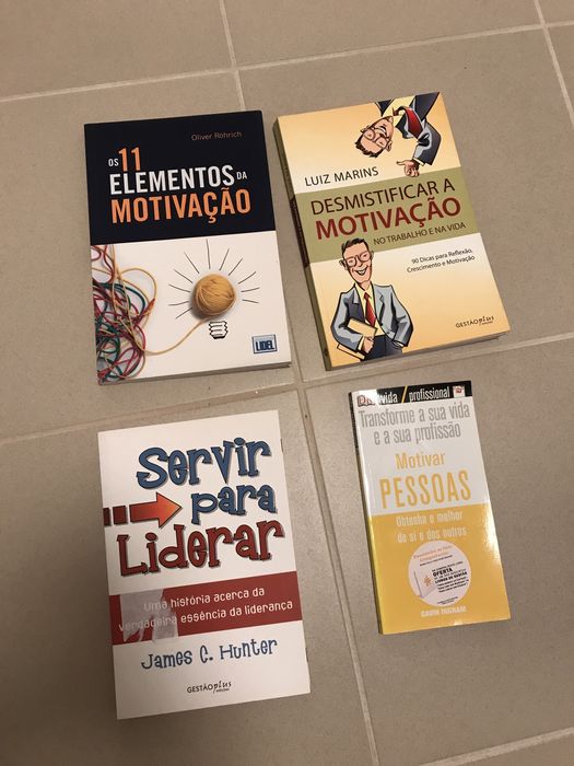 4 livros sobre motivação e liderança